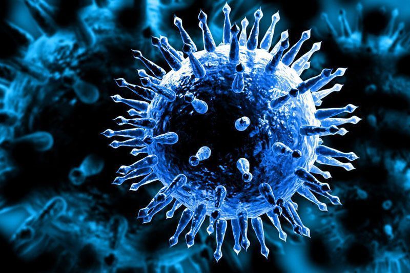 Cztery kolejne przypadki zakażenia koronawirusem w powiecie gryfickim