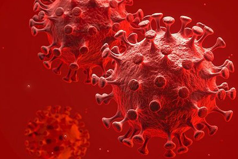 8 kolejnych przypadków zakażenia koronawirusem w powiecie gryfickim