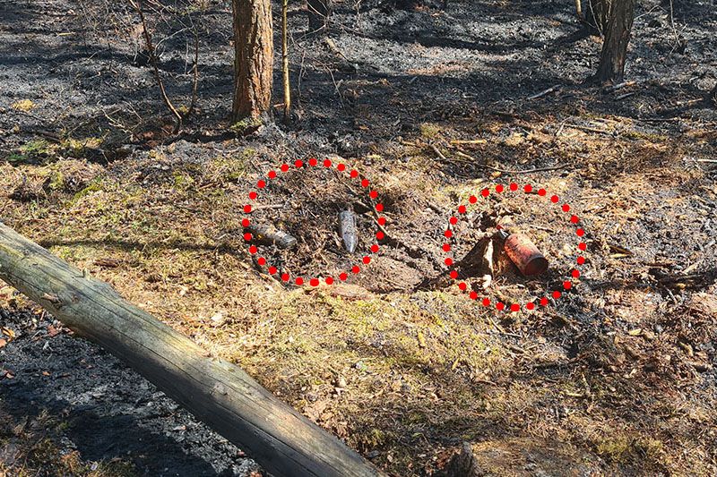 Nieodpowiedzialne zachowanie człowieka mogło być przyczyną pożaru lasu w Pogorzelicy