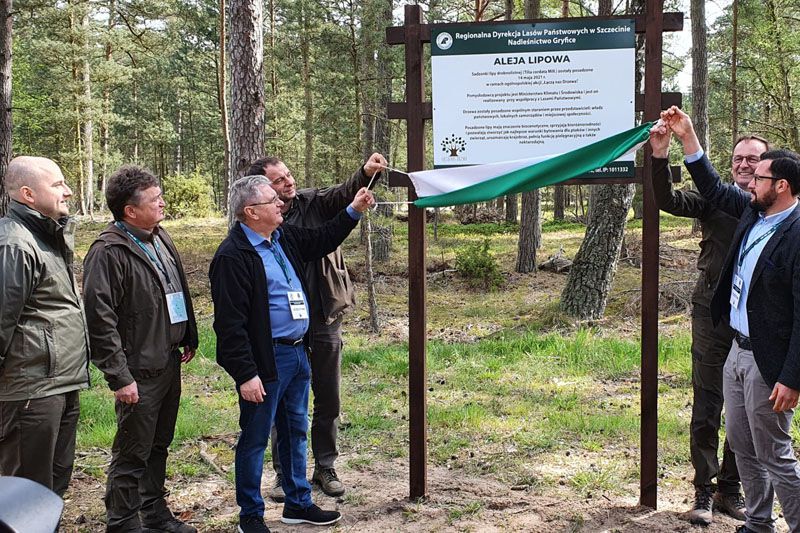 W ramach akcji „Łączą nas Drzewa” na terenie Nadleśnictwa Gryfice posadzono Aleję Lipową