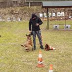 Szkolenie psów służbowych w ramach współpracy ze Strażą Graniczną