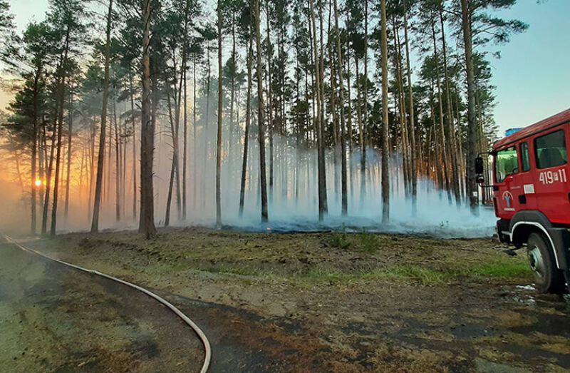 Najwyższy stopień zagrożenia pożarowego w lasach