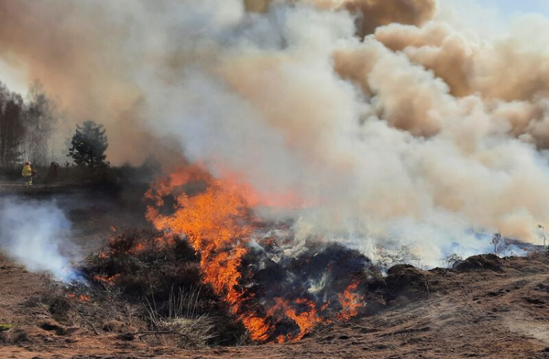 Wysokie i średnie zagrożenie pożarowe w lasach